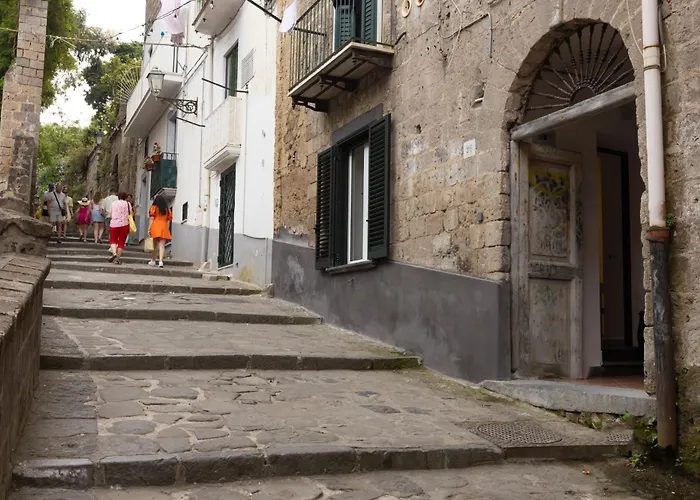 Hébergement de vacances Domus Mediterranea *